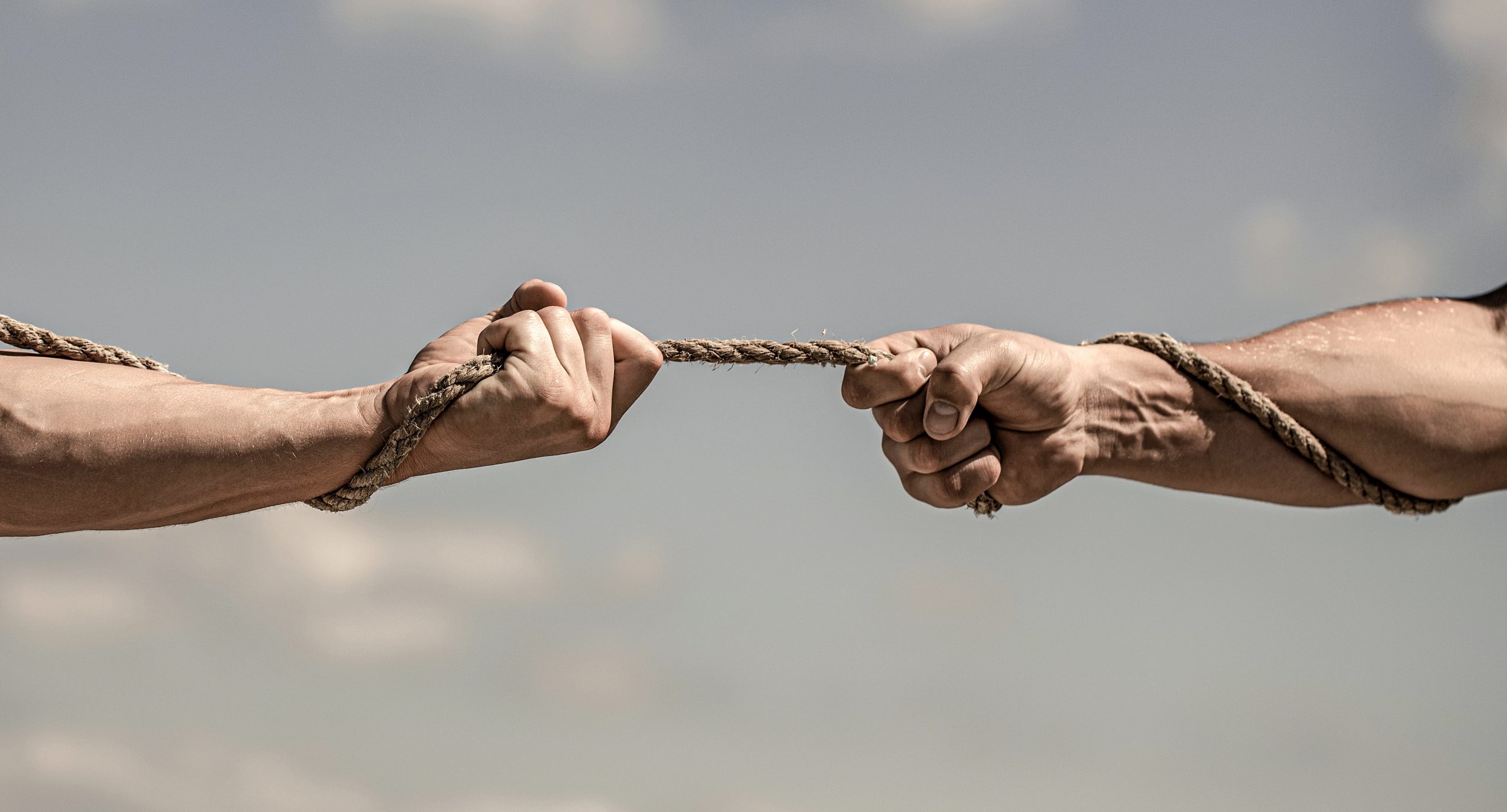 投资观点 | 反复拉锯，更加均衡